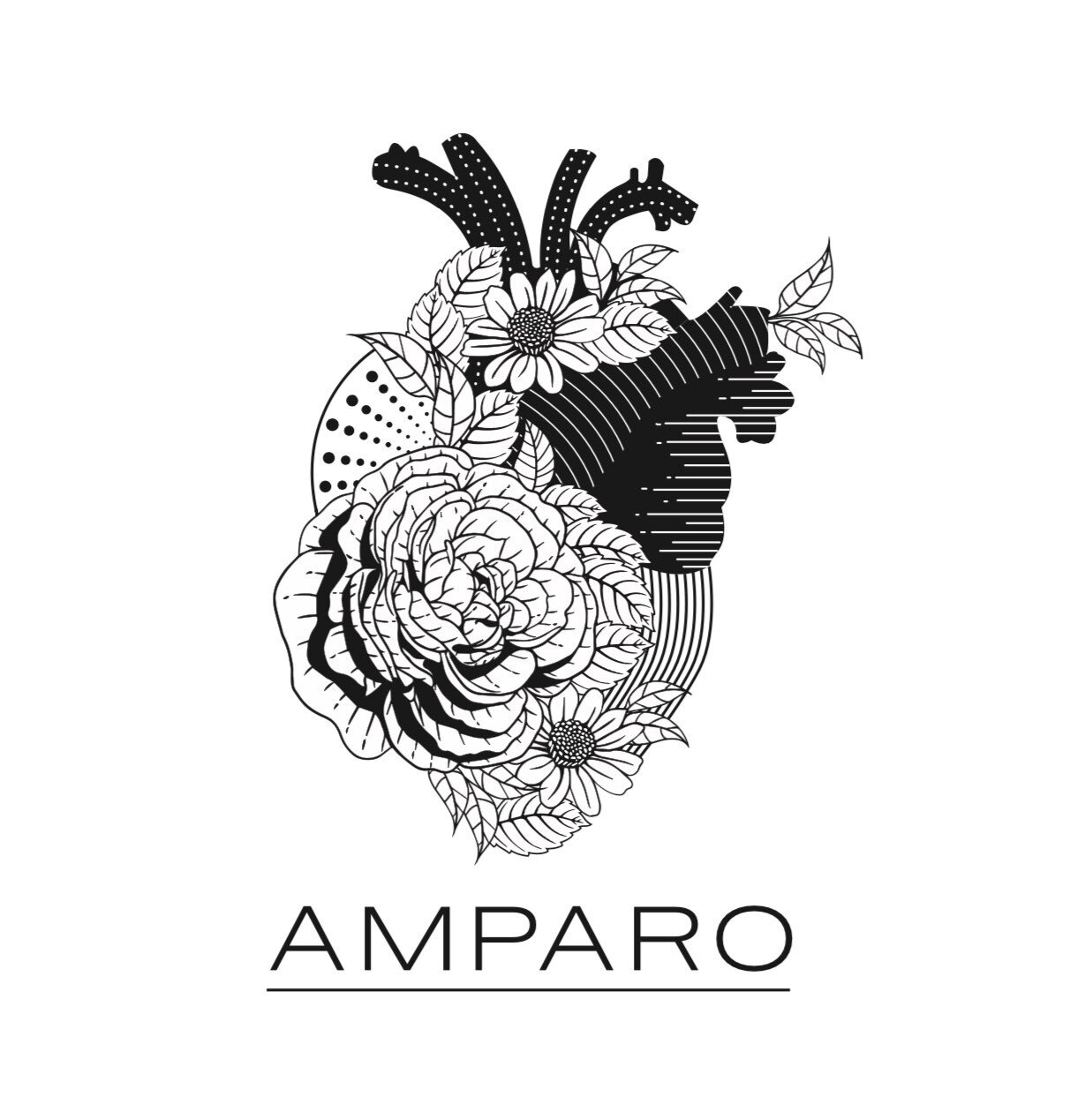 Amparo-1
